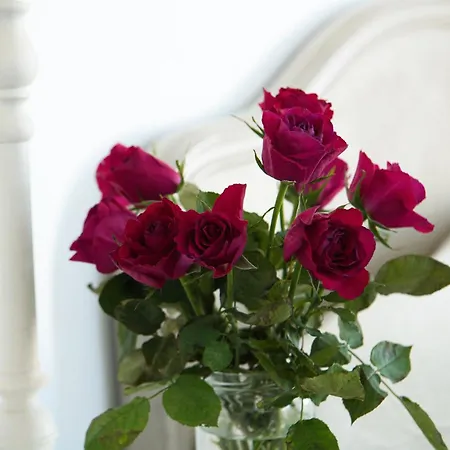 Apartment Le Colibri