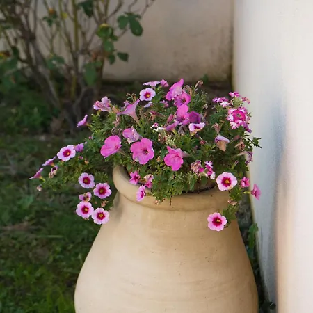 Apartment Le Colibri *